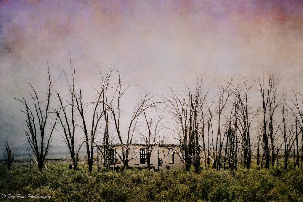 Abandoned house near Lucy, New Mexico.