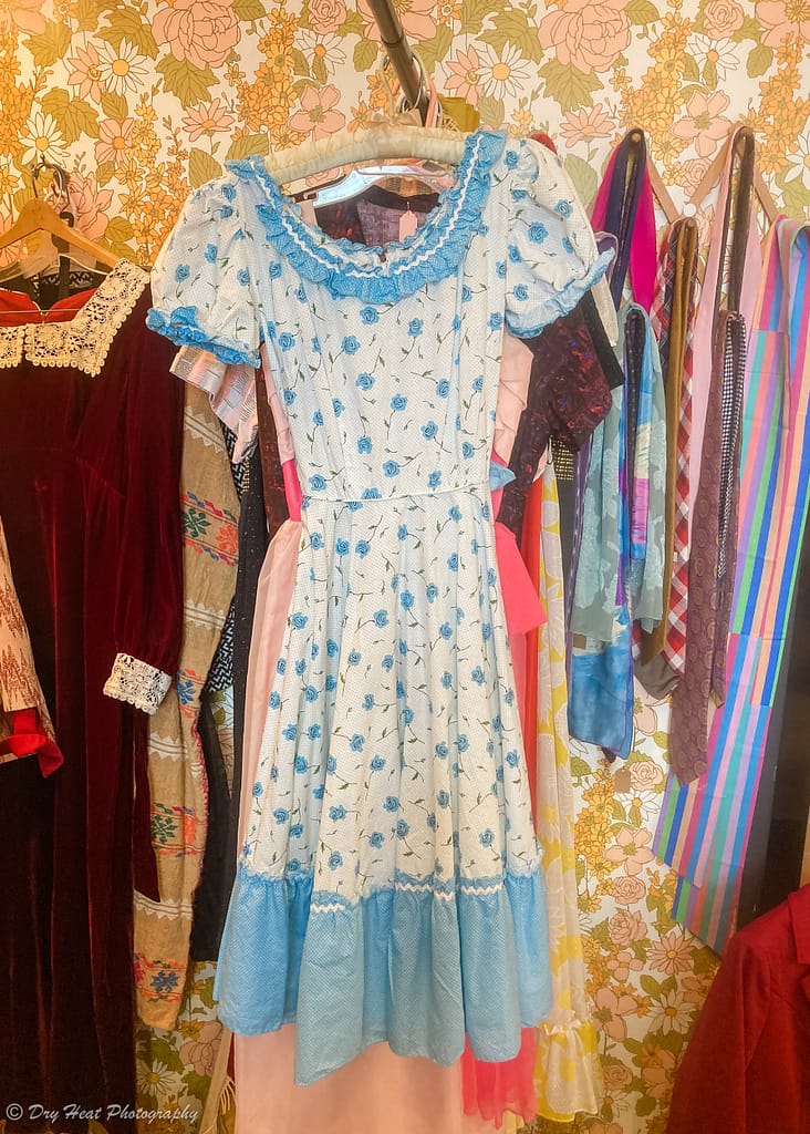 Vintage dress at Swansong at the El Vado Motel on Route 66 in Albuquerque, New Mexico.
